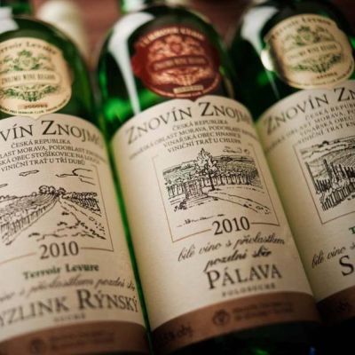 Znovín Znojmo je dnes již pojem a veliká jistota kvalitních vín. Toto moderní progresivní vinaøství hospodaøí na vinichích...