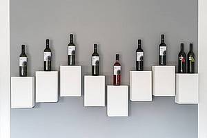 I láhve s víny Romana Fabiga jsou na první pohled viditelné a nepehlédnutelné. A opt se nezape velmi moderní pojetí.