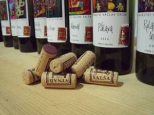 Láhve vína Václava Šalši jsou jednoduše nepehlédnutelné v jakémkoli regále. Mohou za to nápadité etikety, za kterými stojí výtvarník Michal Halva.