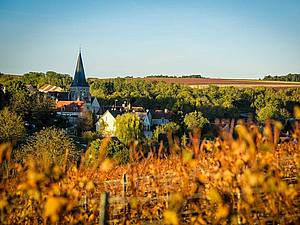 Historie vinaství v tomto krásném kout svta, ve francouzském Burgundsku, sahá opravdu do dávných as.