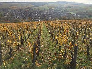 A a je tato ást Burgundska pro nás zatím spíše mén známá, rozhodn stojí za objevení. A kdo by nám mohl být lepším prvodcem charaktery zdejšího klimatu a podloí, ne práv vína vinaství Goisot.