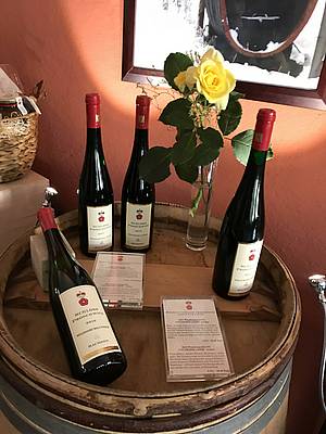 Mezi další odrùdy z produkce vín vinaøství Schloss Proschwitz, se kterými se mùžeme setkat nejen v gastronomii, ale napøíklad i v malé pøíjemné vinotéce pøímo ve vinaøství, patøí Riesling, Pinotové odrùdy èi Scheurebe.